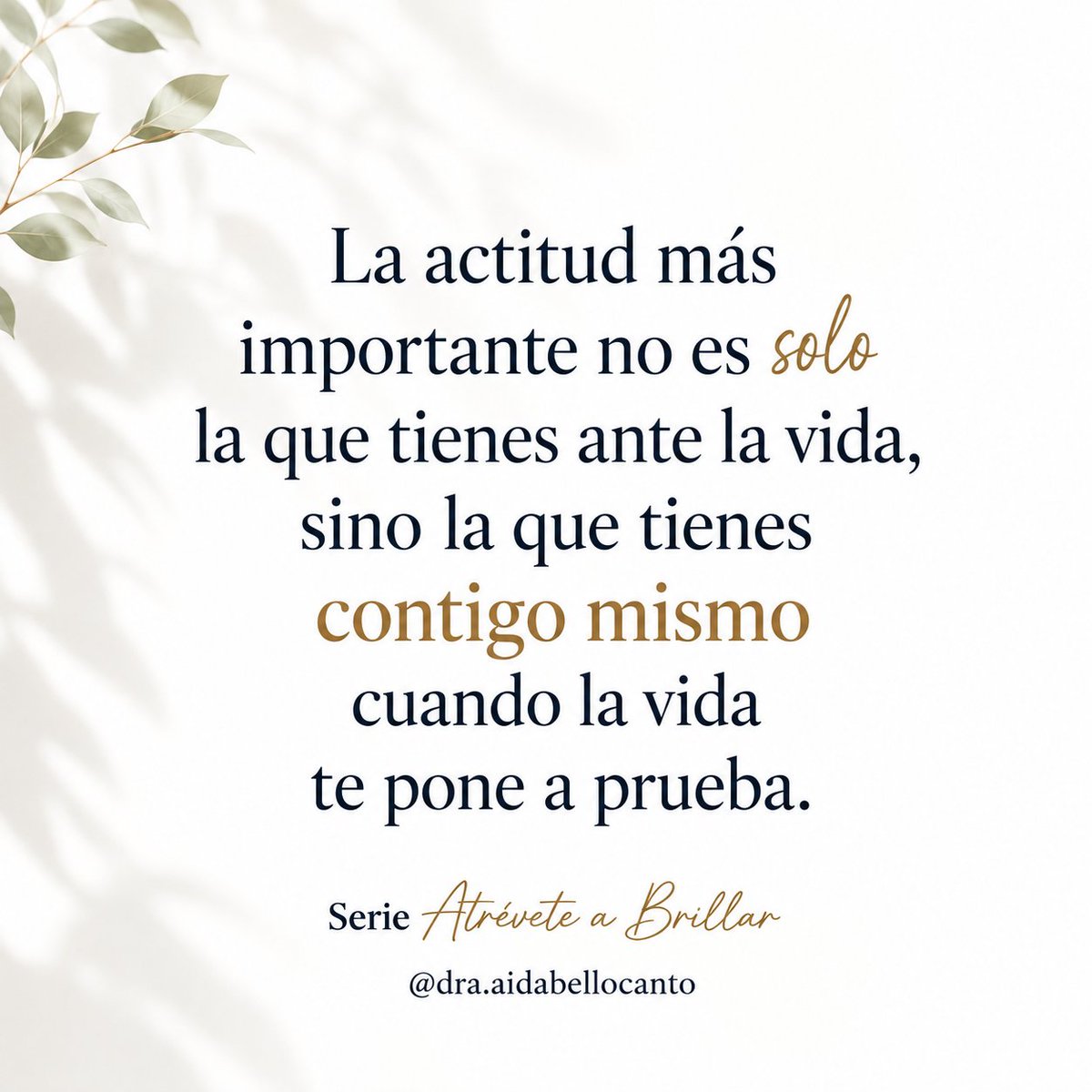 AidaBelloOK's tweet photo. Hablarnos con cariño!
#actitudpositiva #Gestalt https://t.co/7PzHihG1en