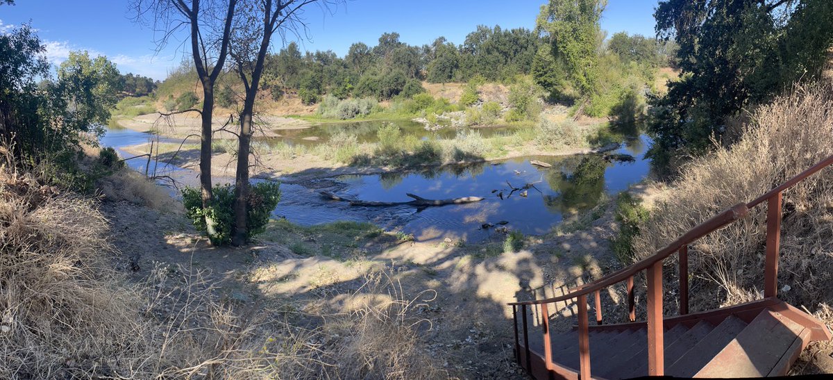 sfwnbr's tweet photo. @vbdude415 Those ice-cold clear/white chocola-tinis &amp; syrupy mojitos ( &amp; faux-jitos ) from the camp-gayborhood social welcome station were just what the doctor ordered for 105ºF temps &amp; made my virgin @Laguna_Del_Sol #NakedMan2026 Experience even more magical. Gracias. Bravo. Encore. https://t.co/HEKbJlQ8CX