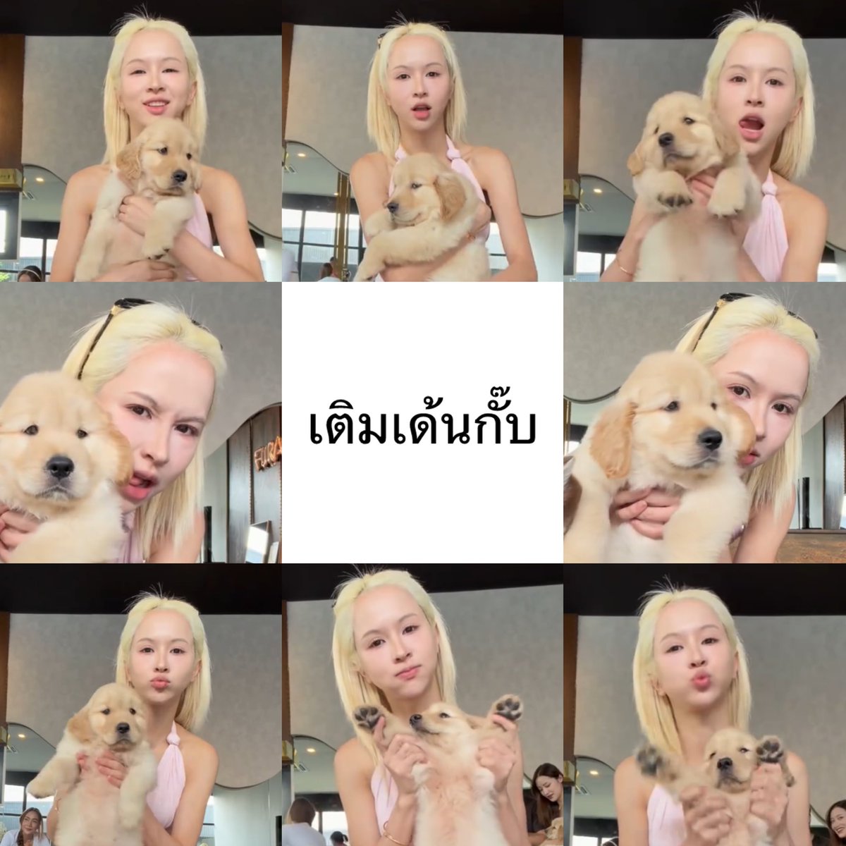 mbmubmib's tweet photo. 🐶🤏🏻 https://t.co/c9fQIMWa7E