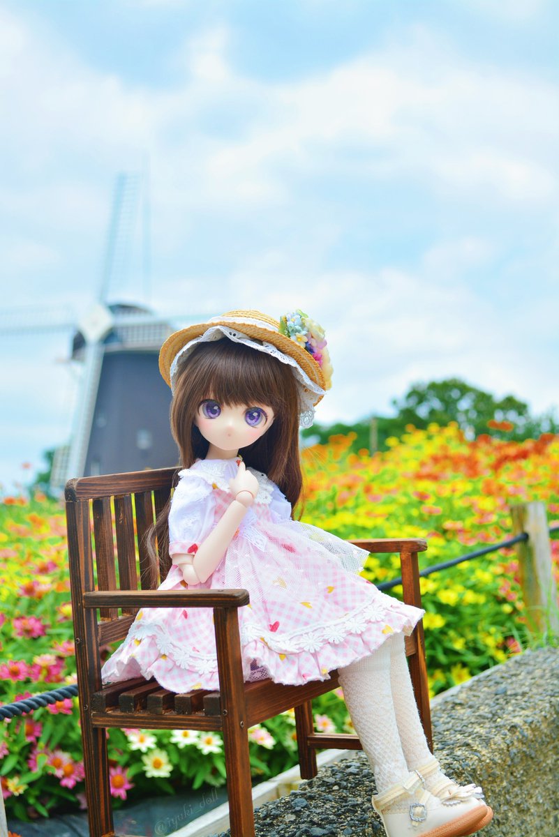 iyuki_doll's tweet photo. ヒャクニチソウ🌼
夏でも鮮やかな花が咲いてるんだね〜！

#ドールと花 
#MDDはいいぞ https://t.co/BNpZ47Sibs