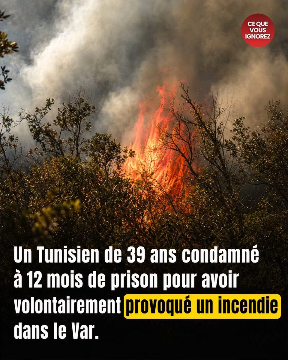 MissPeelEmma's tweet photo. 12 mois 😡 plutôt 12 ans !!! https://t.co/2uMzCZWcU0