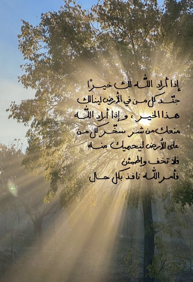 Avsa_0's tweet photo. https://t.co/BRVRaXIfTu
