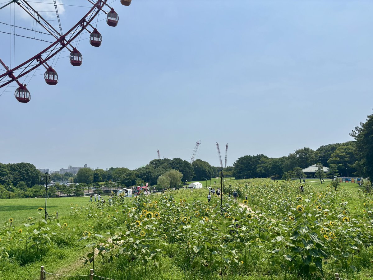 Quarzs's tweet photo. 日曜日は葛西臨海公園まで往復2時間くらい運転した　運転マスターです https://t.co/5zl6c1WhCt