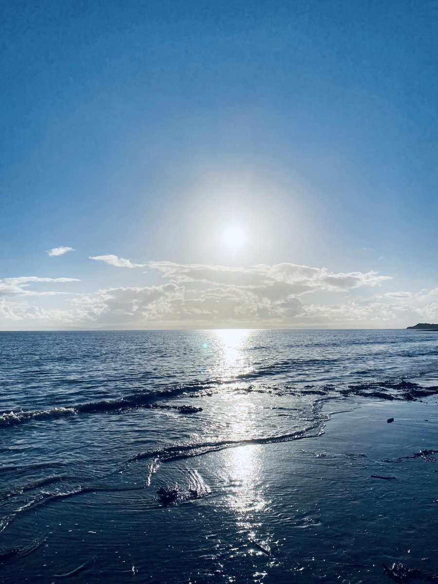 Juggling_Words's tweet photo. A moment of zen meandering along the shore & beachside flowers.
Sunshine, ocean, butterflies and bees.
Life can be wonderful. 🌞 🌊 🦋 🐝
‘One touch of nature makes the whole world kin.’ (Troilus and Cressida) 🎭
#Shakespeare #Poetry 🪶
#CardiffCoastline #ADayInTheLife 🚶 https://t.co/IFoWuAvYBD