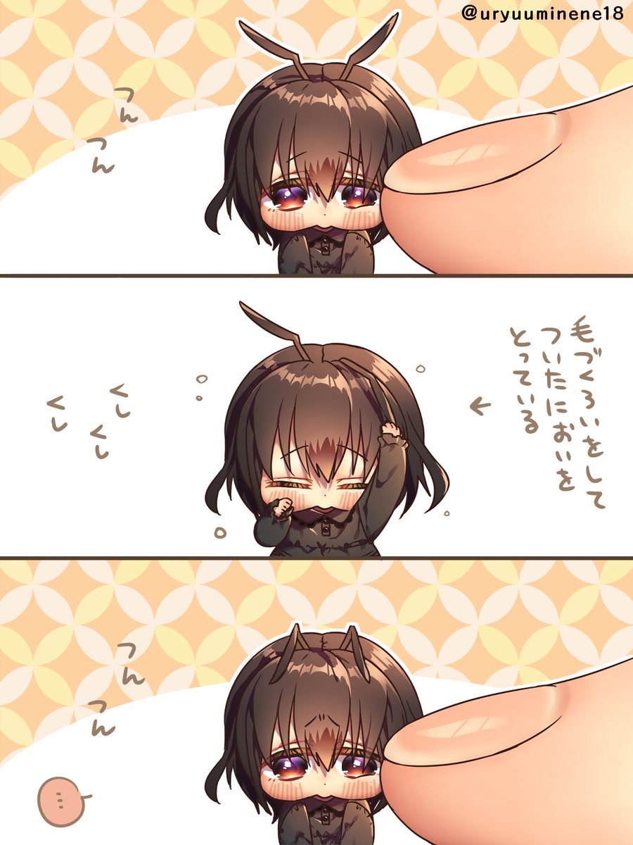 uryuuminene18's tweet photo. ついた臭いをけづくろいで消すアリちゃん https://t.co/udrCPRKp9j