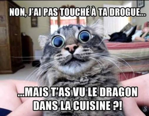 ____Cha0s____'s tweet photo. @brivael https://t.co/NsTJVPWizq