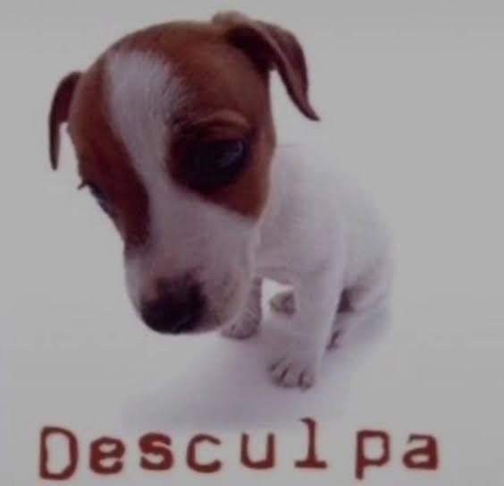 notmenutmeg's tweet photo. nenhuma d tinder mulher etc me abalou tanto quanto uma d amigos dele falando q odiaram me ver no role https://t.co/pvqTLCZSCr