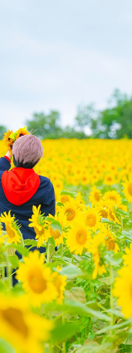 nil_404o0's tweet photo. 虎杖悠仁 ┊︎ 呪 術 廻 戦
🌻
⚠︎cosplay https://t.co/vYxSxBR2xL