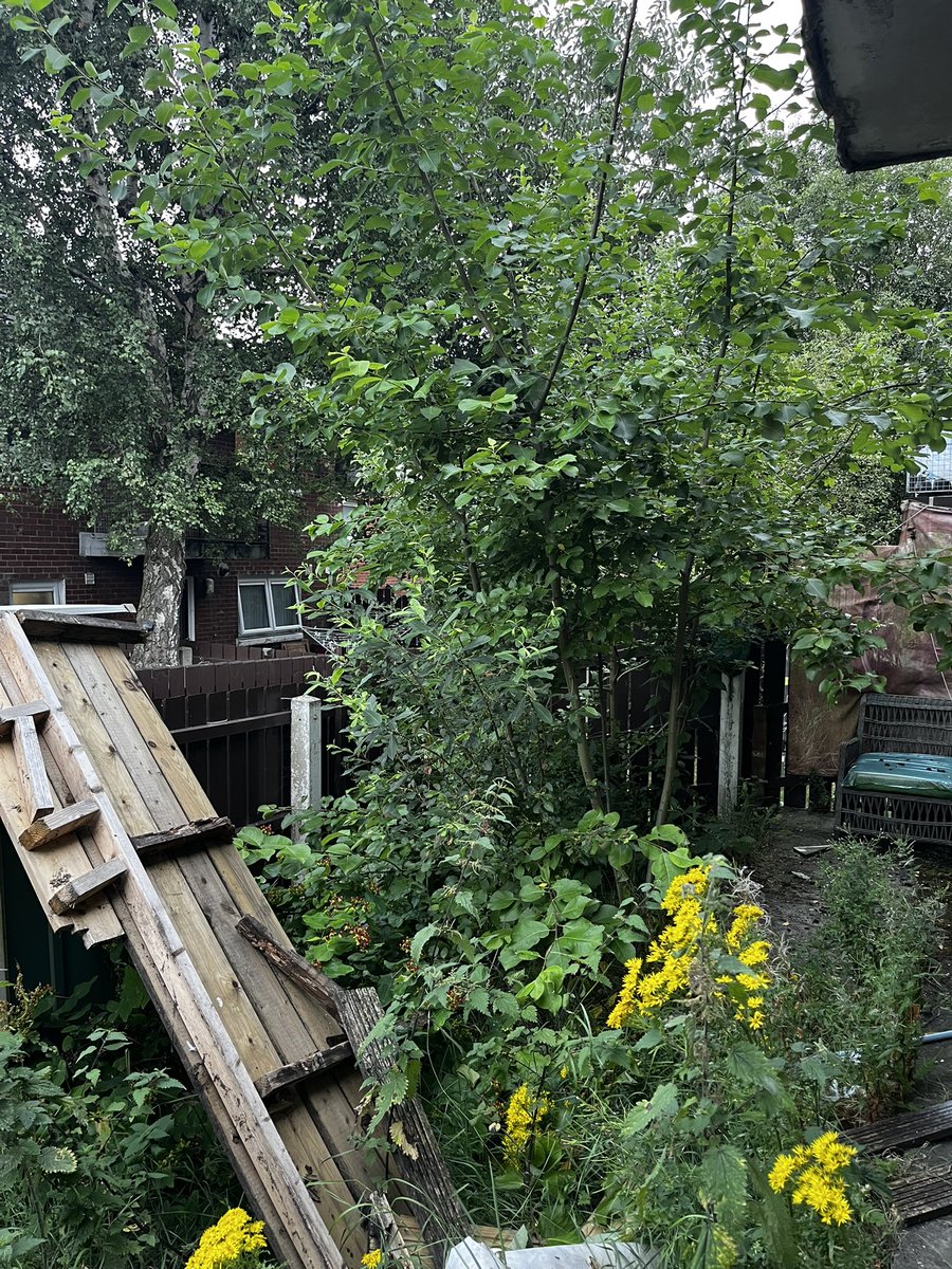 artilleryyc's tweet photo. Completed a tough garden renovation this morning for an older man whose mobility meant he couldn’t fix up or use his garden. Lads went in and cut back overgrown trees and shrubs, power hosed and completely refurbished the space. Toughest job this year. https://t.co/gb6LGCDxds