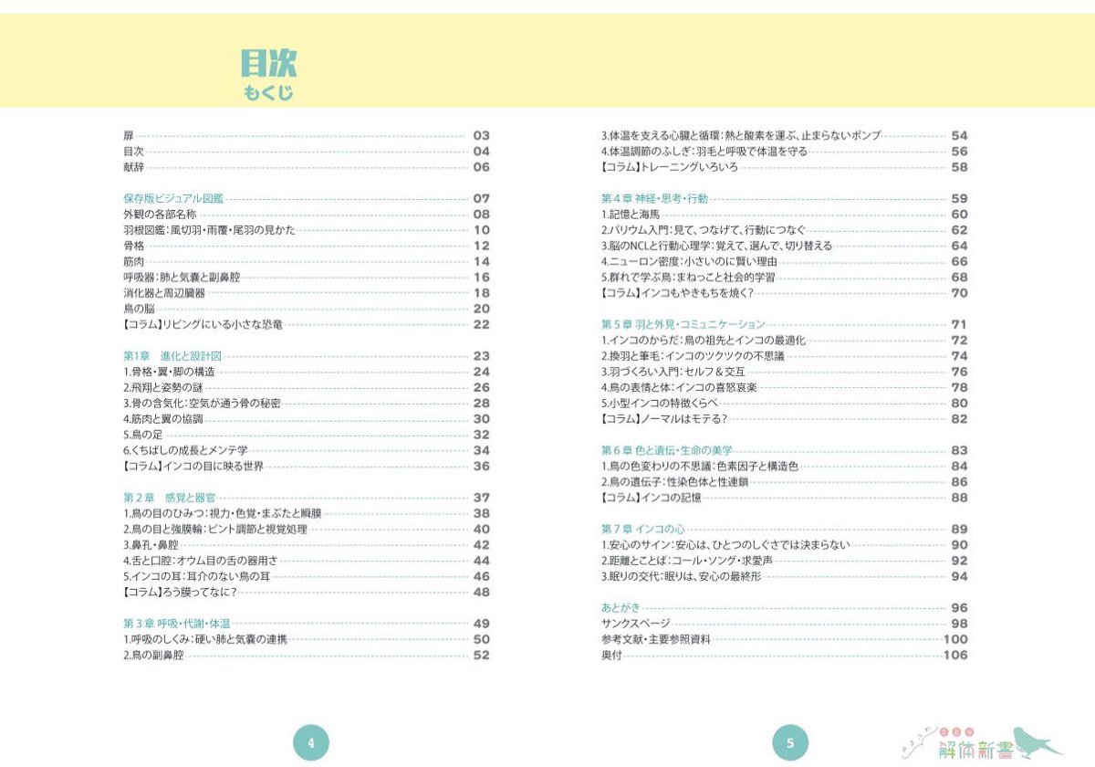 sittlebluebird's tweet photo. 【『ことり解体新書』一般販売のお知らせ】

2026年8月5日（水）午前10時より、お申し込み受付を開始します。

――――――――――

骨格や筋肉、呼吸器、脳と記憶、羽毛、色と遺伝、そしてインコの心まで――。

知れば知るほど、見慣れた姿が奥深くなる。
インコを愛する方のための、これまでにないビジュアル解剖学入門ブックです。
（解剖学に加え、生理学・遺伝・行動や心についても扱っています）

小さな鳥のからだの中で何が起きているのか。見慣れた姿や仕草の内側を、たくさんの図解とともに一冊にまとめました。

始まりは、10年ほど前に描いた一枚の「セキセイインコの羽図鑑」でした。

その後、図鑑風タペストリーやSNSで発表してきた内容、昨年夏の連載をもとに、あらためて資料を確認し、描き直し、書き直しました。

難しいことを曖昧にせず、それでも鳥が好きな方に楽しく読んでいただけるよう、専門性と親しみやすさの両方を大切にしています。

小鳥を愛する方、鳥のからだをもっと深く知りたい方、絵や図鑑がお好きな方にも、手に取っていただけたらうれしいです。

■書籍仕様

『ことり解体新書』

・B5判（大学ノートほどの大きさ）
・全106ページ／オールカラー
・厚さ約7.5mm（本文用紙厚め）
・読みやすい大きめの文字／一部ふりがな付き
・巻頭ビジュアル図鑑および本文の初出用語には、可能な限り和名・英名を併記
・カバーなし

■販売価格

1冊　5,500円（税込）
送料　250円

1冊ご注文の場合、合計5,750円です。

■発送

2026年8月20日（木）から9月初旬にかけて、クリックポストにて順次発送します。

折れや傷みを防ぐため、しっかりしたボール紙封筒に入れてお送りします。

初回販売分は在庫に限りがあり、予定数に達し次第、予告なく受付を終了する場合があります。年内の増刷も検討していますが、現時点では未定です。

■お支払い方法

・三菱UFJ銀行へのお振り込み
・クレジットカード
　※Yahoo!メールからの案内を受信できるメールアドレスが必要です。私にカード情報が開示されることはありません。

■お申し込み方法

以下を添えて、DM／メッセージをお送りください。

・希望冊数
・郵便番号
・送付先ご住所（建物名・部屋番号まで）
・お名前（郵送時の宛名）
・電話番号
・メールアドレス（クレジットカード払いの方）
・ご希望のお支払い方法

DMを送るために私からのフォローが必要な場合は、この投稿へのリプライでお知らせください。こちらからフォローいたします。

住所や電話番号などの個人情報はリプライには書かず、必ずDM／メッセージでお送りください。

■本書をご紹介いただく際のお願い

SNSなどでご紹介くださる際は、本文ページ全体が読める状態での撮影・掲載はご遠慮ください🙏

表紙のお写真や、ご感想を添えてご紹介いただけることは、とてもうれしく思います。

小さな鳥たちのからだと心を、今までよりほんの少し深く見つめるきっかけになりますように。