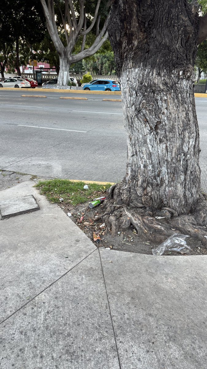 Sanfranvecinis's tweet photo. Apoyo por favor. Basura regada sobre Blvd 5 de Mayo esquinas Priv. Tercera y Segunda Central. También 14 y 16 Oriente. @LimpiaPue @PueblaAyto #PueblaLimpia #PorAmorAPuebla https://t.co/lcK410LZTf