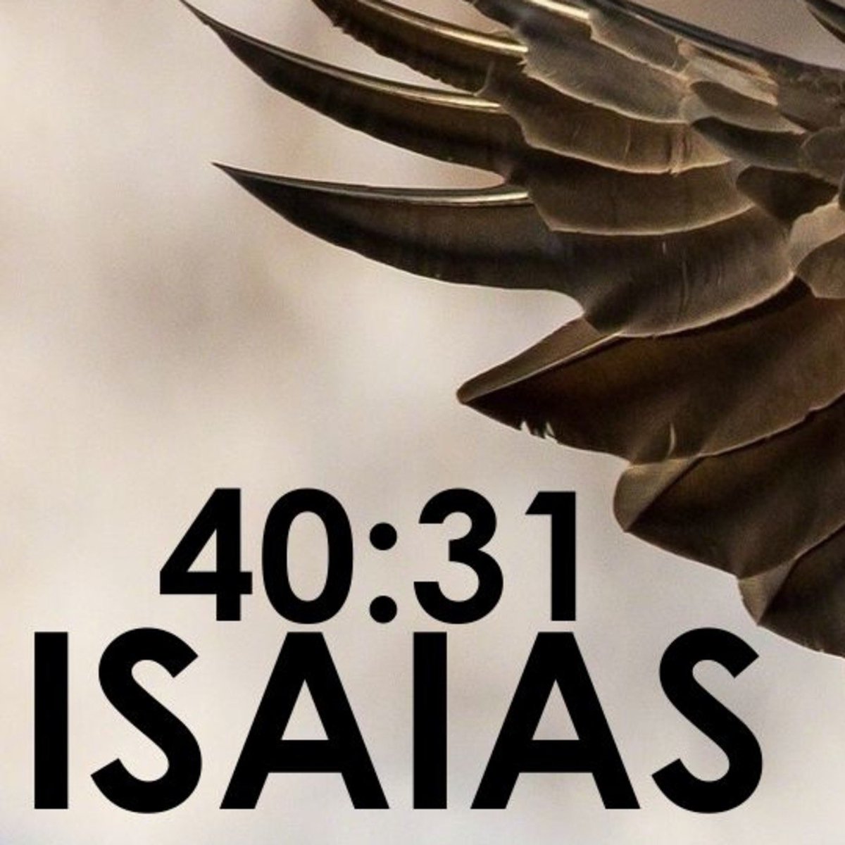 fernandoBiblia's tweet photo. “Los que confían en el Señor recobran las fuerzas y levantan el vuelo, como las águilas; corren, y no se cansan; caminan, y no se fatigan”.

—Isaías 40, 31 https://t.co/fjxjcue62Q