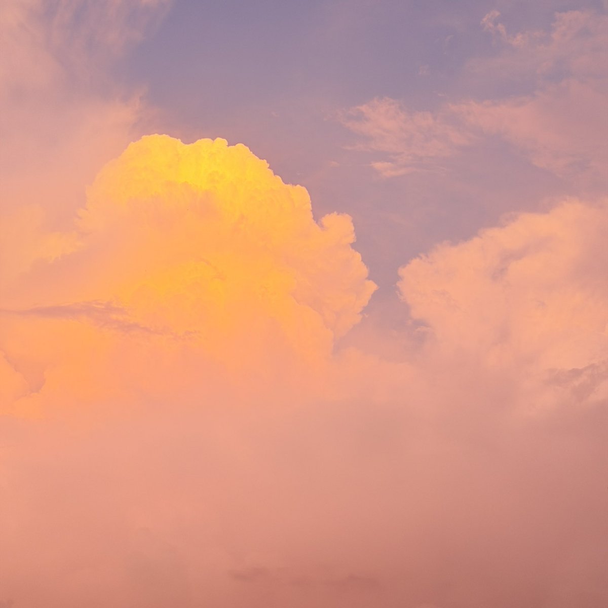 Happy__p4742's tweet photo. ท้องฟ้าหน้าร้อน ⛅️ https://t.co/R3riV51ZRg