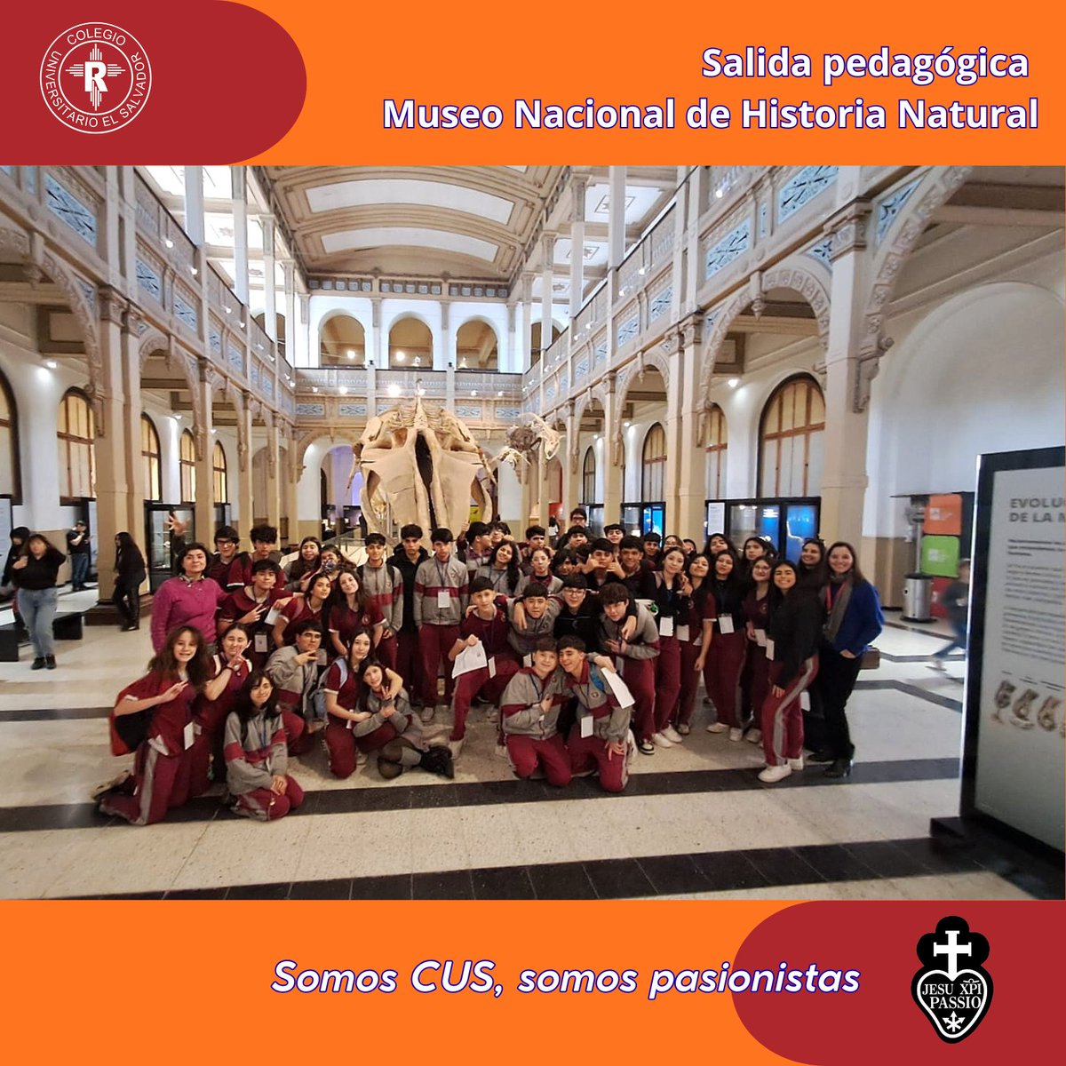 USALVADORCHILE's tweet photo. Visita al Museo Nacional de Historia Natural de I medio, actividad del módulo de Biología, Biodiversidad y Evolución. Los estudiantes mostraron un notable interés, por colecciones patrimoniales y por la labor de investigación y conservación que allí se realiza. https://t.co/MZREz3aScN