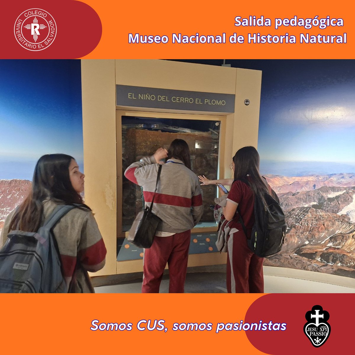 USALVADORCHILE's tweet photo. Visita al Museo Nacional de Historia Natural de I medio, actividad del módulo de Biología, Biodiversidad y Evolución. Los estudiantes mostraron un notable interés, por colecciones patrimoniales y por la labor de investigación y conservación que allí se realiza. https://t.co/MZREz3aScN