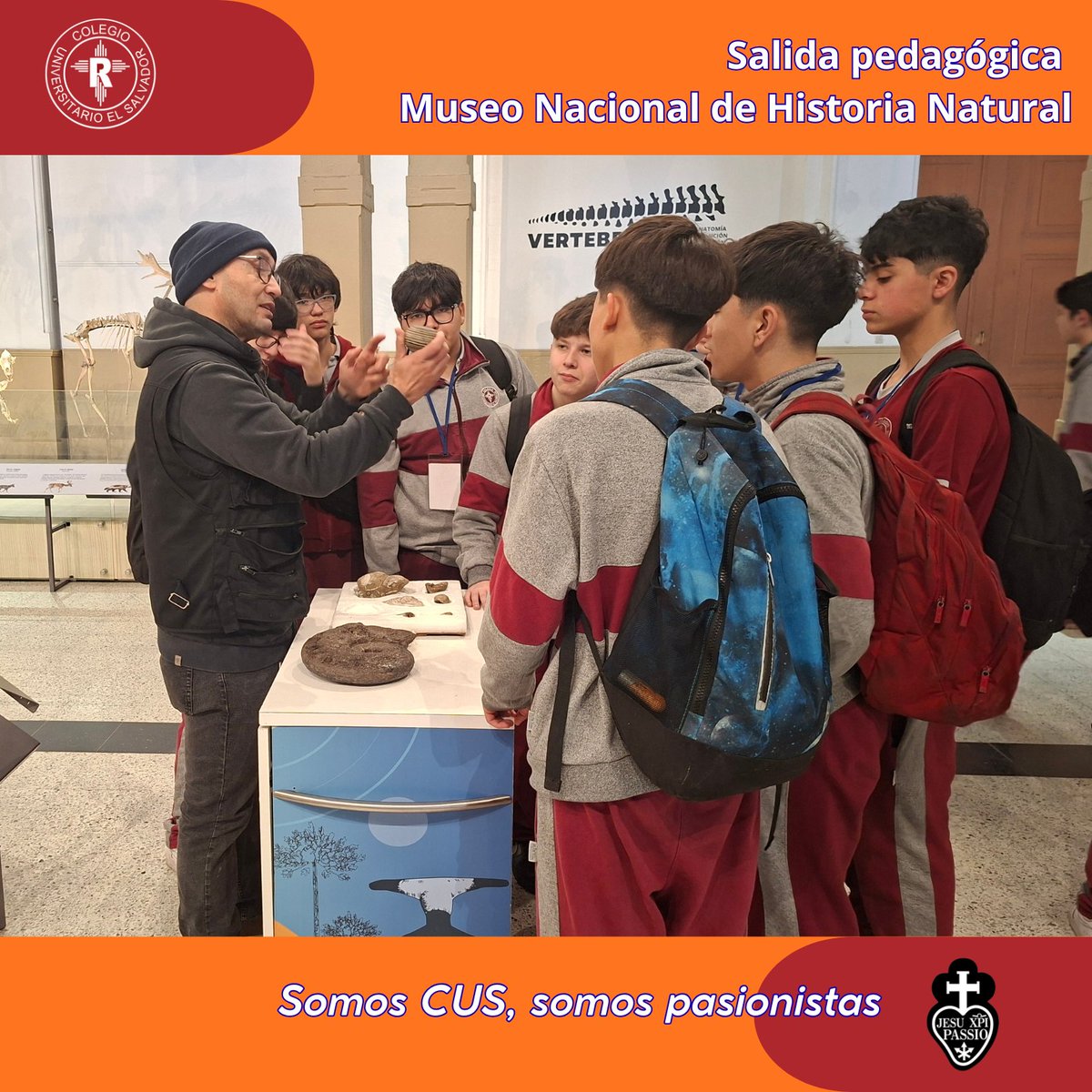 USALVADORCHILE's tweet photo. Visita al Museo Nacional de Historia Natural de I medio, actividad del módulo de Biología, Biodiversidad y Evolución. Los estudiantes mostraron un notable interés, por colecciones patrimoniales y por la labor de investigación y conservación que allí se realiza. https://t.co/MZREz3aScN