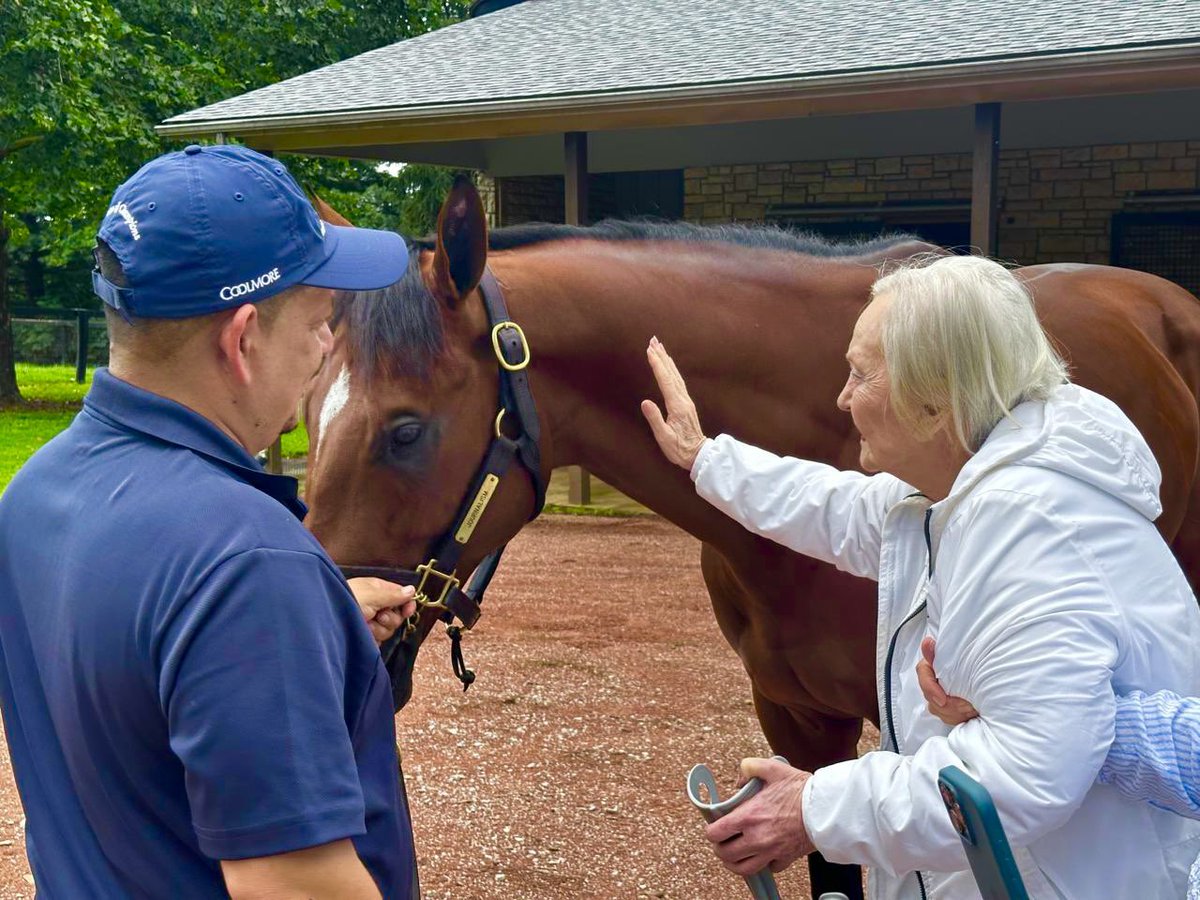 hsdonalberto's tweet photo. En Ashford Stud, Kentucky, visitamos a Journalism, recientemente incorporado al plantel de padrillos de Coolmore.
Como criadores, seguimos cada uno de sus pasos desde su nacimiento hasta el desarrollo de su extraordinaria campaña. Volver a verlo, ahora iniciando una nueva etapa, nos permitió reencontrarnos con el mismo caballo que tantas satisfacciones nos entregó en las pistas y renovar la ilusión de verlo proyectar toda su calidad a través de su futura descendencia.
Un hermoso reencuentro y un nuevo capítulo en la historia de un caballo que marcó profundamente nuestra historia en la crianza. 
#DonAlbertoCorporation #HarasDonAlberto