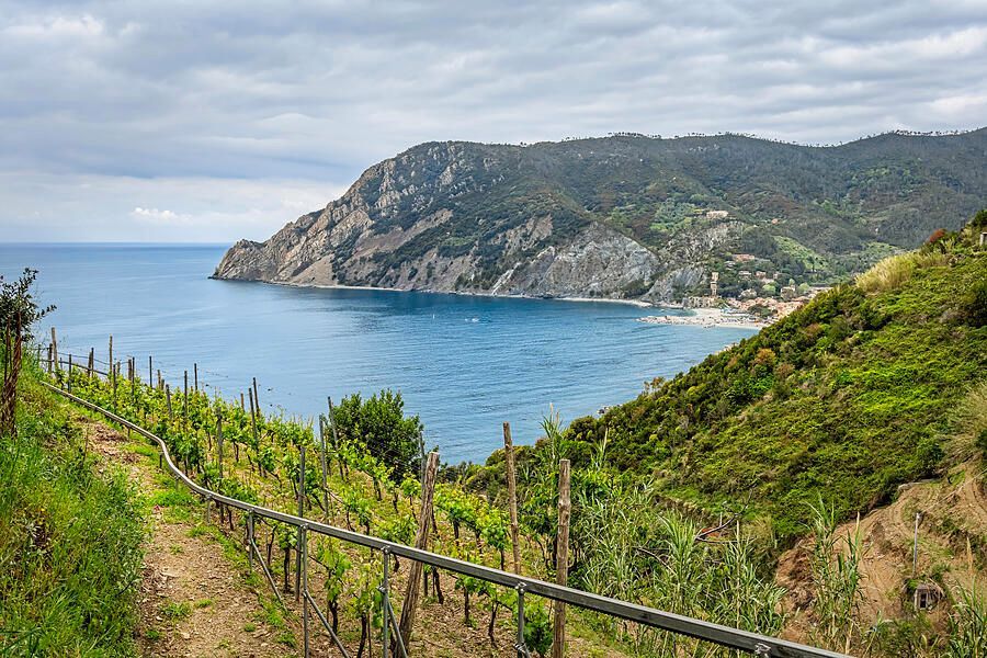 joancarroll's tweet photo. Monterosso and Vineyards Cinque Terre Italy https://t.co/sYQGoPc1yI? #monterosso #cinqueterre #italy #mediterranean #vineyards #sea #mountains #landscapephotography #giftideas @joancarroll https://t.co/PPCpDCIw5X