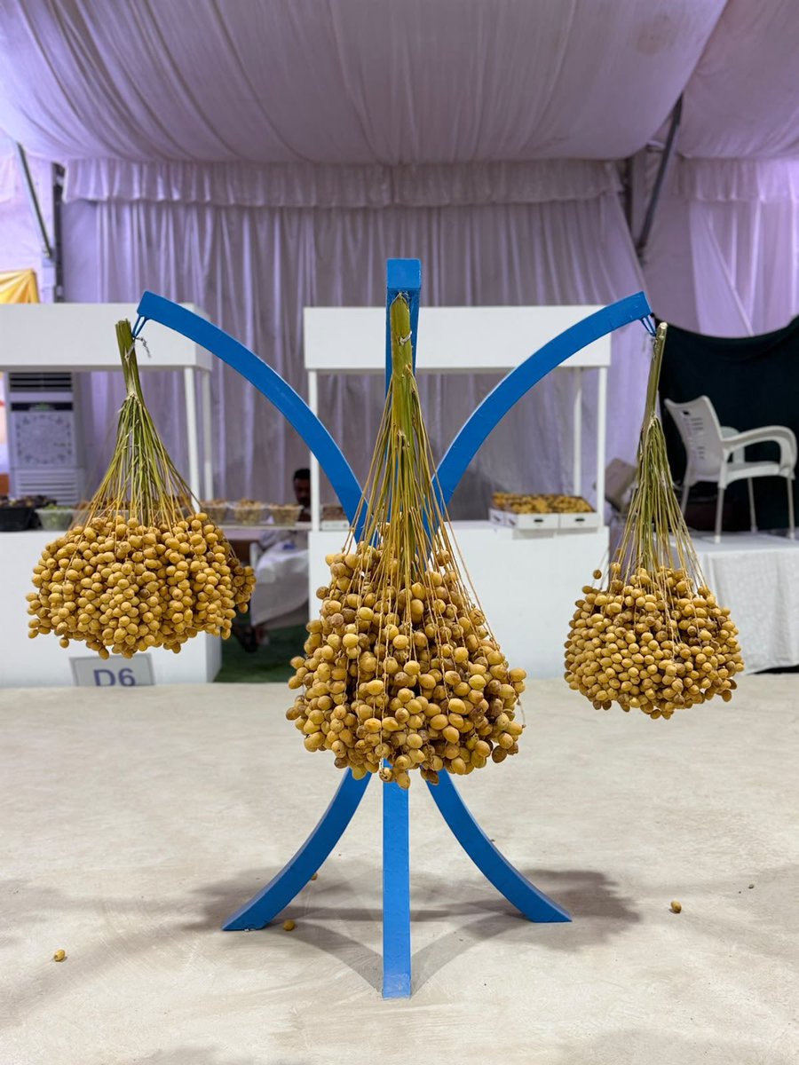 Kfhkh2019's tweet photo. بفضلٍ من الله سبحانه وتعالى، تشرفنا ليلة البارحة بزيارة مهرجان المزارعين للتمور بمحافظة الخرج، والذي يُعد أحد أجمل المهرجانات الزراعية التي شهدناها، لما تميز به من حسن التنظيم، وروعة التصميم، وجودة التنفيذ، في لوحةٍ وطنيةٍ تعكس مكانة محافظة الخرج وريادتها الزراعية.

ومنذ لحظة الوصول، لمسنا كرم الاستقبال وحفاوة الترحيب، والتنظيم الاحترافي الذي عكس الجهود الكبيرة التي بُذلت لإنجاح هذا المهرجان. وقد سعدنا بالتجول بين أركانه المتنوعة، والالتقاء بعددٍ من المزارعين وأصحاب المزارع والخبرات الزراعية، والاستماع إلى تجاربهم وقصص نجاحهم، التي تؤكد أن المزارع السعودي شريكٌ أساسي في تحقيق الأمن الغذائي والتنمية المستدامة.

وقد جاء المهرجان برسالةٍ سامية، تمثلت في دعم المزارع، وإبراز جودة المنتجات الزراعية، وربط المنتج بالمستهلك مباشرة، بما يعزز الثقة بالمنتج الوطني، ويدعم الاقتصاد المحلي، ويُبرز ما تزخر به محافظة الخرج من خيراتٍ زراعيةٍ وجودةٍ وإنتاج.

كما أضفت منطقة عربات الوجبات السريعة، والأركان الترفيهية، ومنطقة الألعاب، لمسةً جماليةً مميزة، جعلت من المهرجان وجهةً متكاملة تناسب جميع أفراد الأسرة، في أجواءٍ مفعمة بالحيوية والجمال.

وفي الختام، نتقدم بخالص الشكر والتقدير إلى بلدية محافظة الخرج، وإلى مكتب وزارة البيئة والمياه والزراعة بمحافظة الخرج، ولكل من أسهم في تنظيم وإخراج هذا المهرجان بهذه الصورة المشرفة، التي تعكس حجم الاهتمام بالقطاع الزراعي، وتبرز المكانة الكبيرة التي تستحقها محافظة الخرج، عاصمة الزراعة وإحدى أجمل محافظات المملكة.

شكراً لكم على هذا الإبداع… فقد كان مهرجان المزارعين بمحافظة الخرج نموذجاً يُحتذى به في حسن التنظيم، وروعة الإعداد، وجمال التنفيذ، وواجهةً مشرقةً نفخر بها جميعاً.