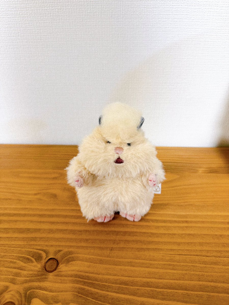 a_ryyy_y's tweet photo. はむメンチ https://t.co/kgzahpec0V