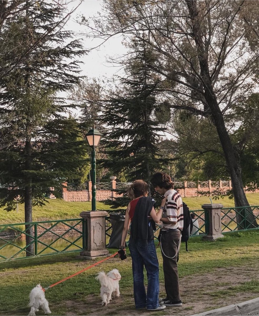 nocontexteses's tweet photo. Yaz bitmeden Kanlıkavak date'i yap https://t.co/ac7NjDPx8P