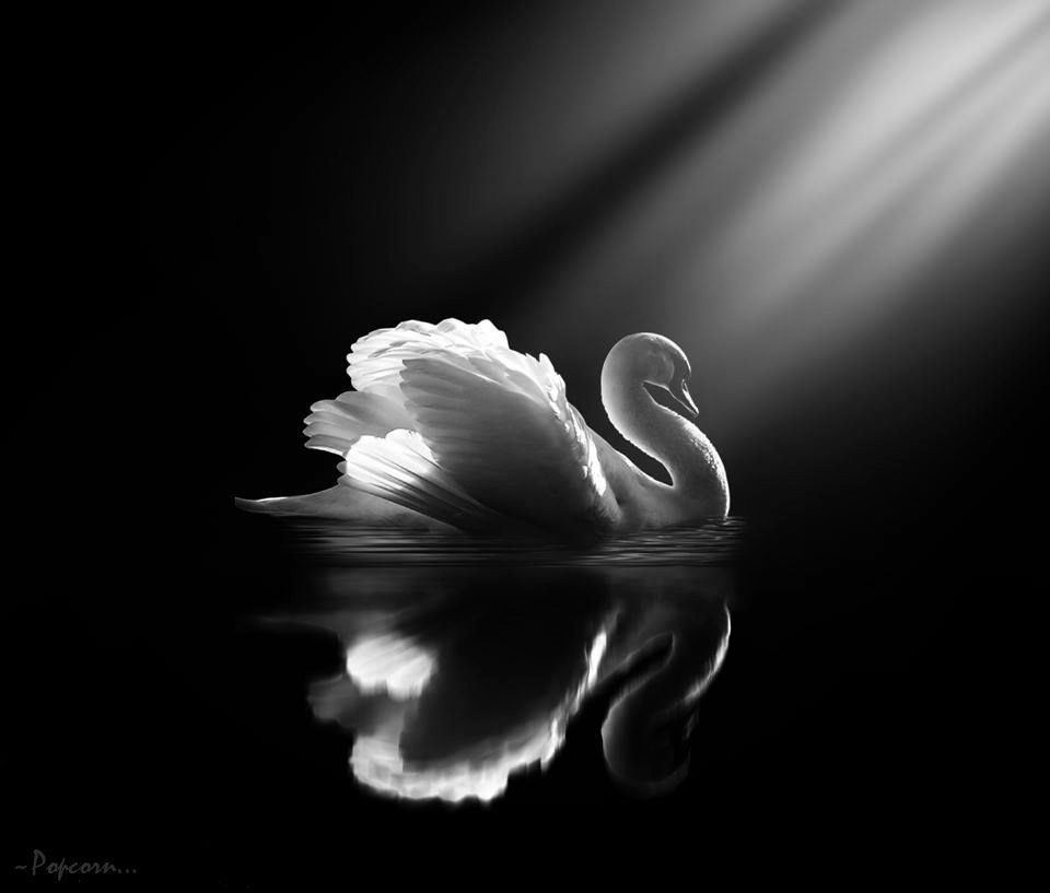 enatmi's tweet photo. If  you  look  close  enough,  you’ll  see  it  too:  the  way  love  lingers  in  the  corners  of  soft  smiles  and  half-hidden  wishes.  Maybe  I’m  not  waiting  for  anything…  or  maybe  I’m  just  waiting  for  someone  who  sees  the  poetry  in  silence. https://t.co/HVHzFGYv2l