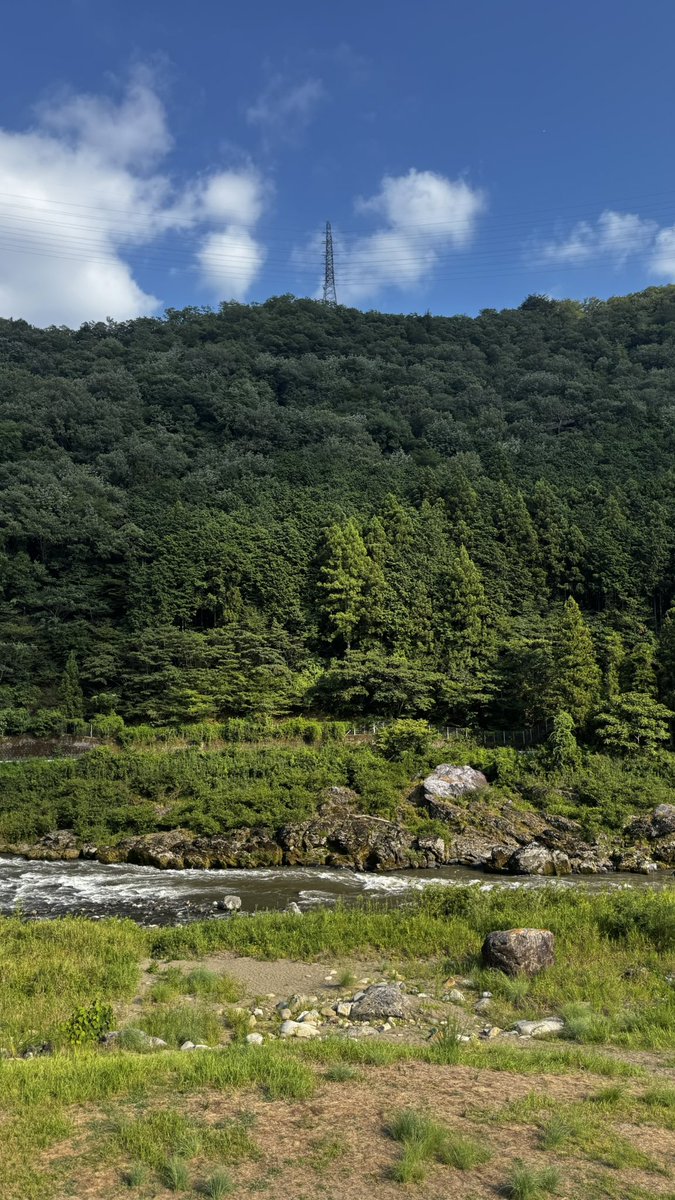 hapi39fu's tweet photo. 郡上八幡☀️🏞🏯✨️🐯

郡上八幡に来ると一座の夏の遠足in郡上八幡(2022年)の聖地巡礼をしたくなる☺️

郡上八幡とても良いとこ一度はおいで🙌 https://t.co/bljl3Jlv7m