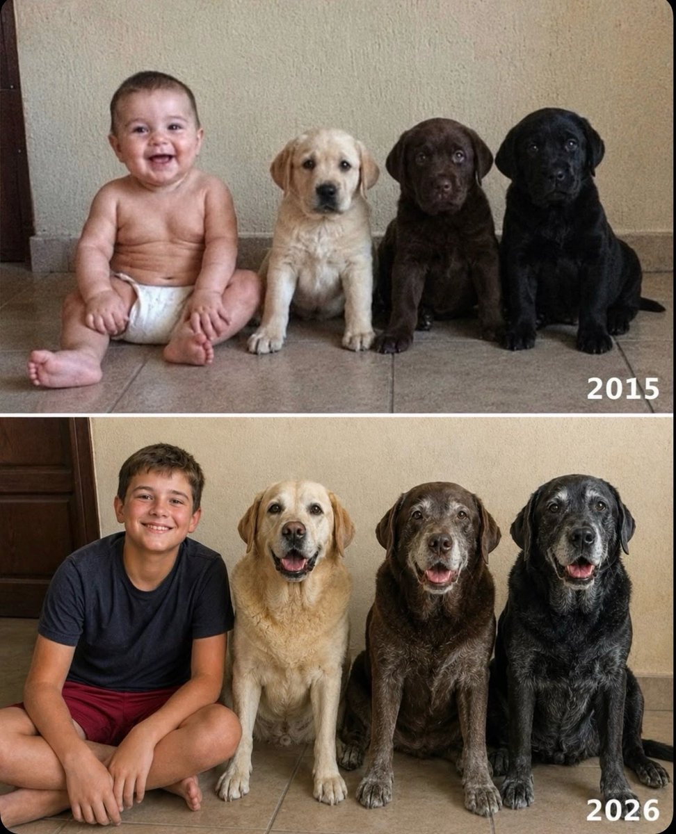 lovedoggods's tweet photo. A wonderful love story; love grows from innocence to wisdom. https://t.co/yCdxkUgRYp