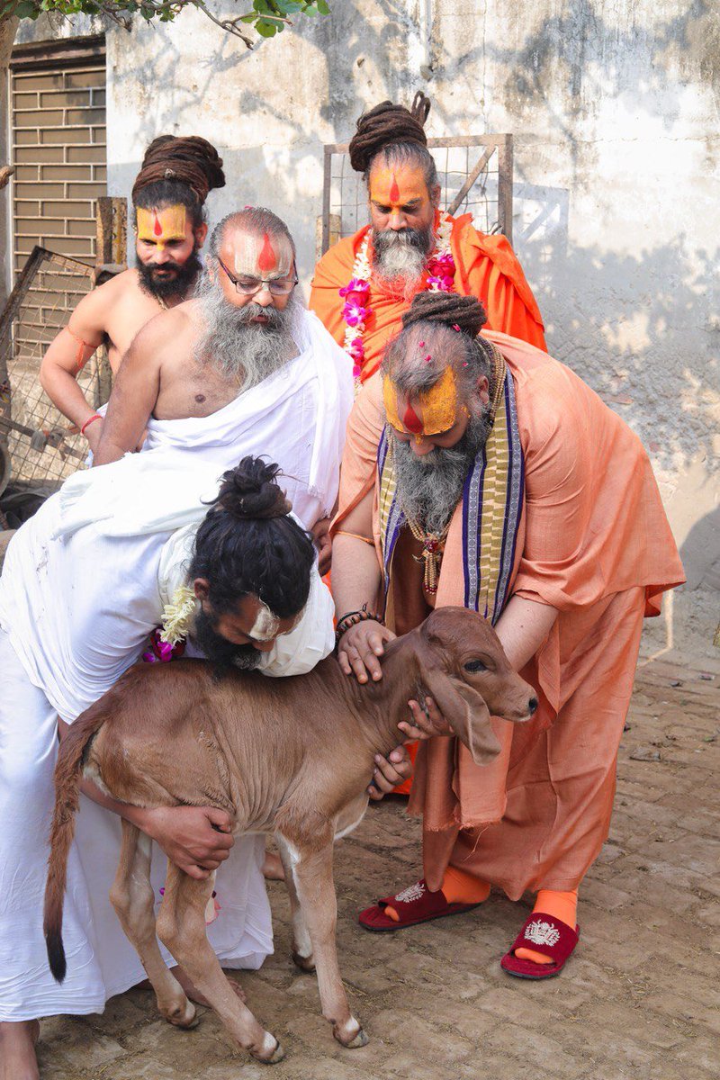 ShivanshuR17278's tweet photo. परम् पूज्य मलूकपीठाधीश्वर महाराज श्री के आह्वान पर हम प्रत्येक सनातनी

@narendramodi @PMOIndia से 2 मांग करते है।

1:- गौ माता को राष्ट्र माता का सम्मान दिया जाए। और

2:-संपूर्ण भारतवर्ष को गौ वध के कलंक से मुक्त किया जाए।
जय सियाराम
गाय #गौमाता_राष्ट्रमाता Gau Mata https://t.co/jN9ltpARZL
