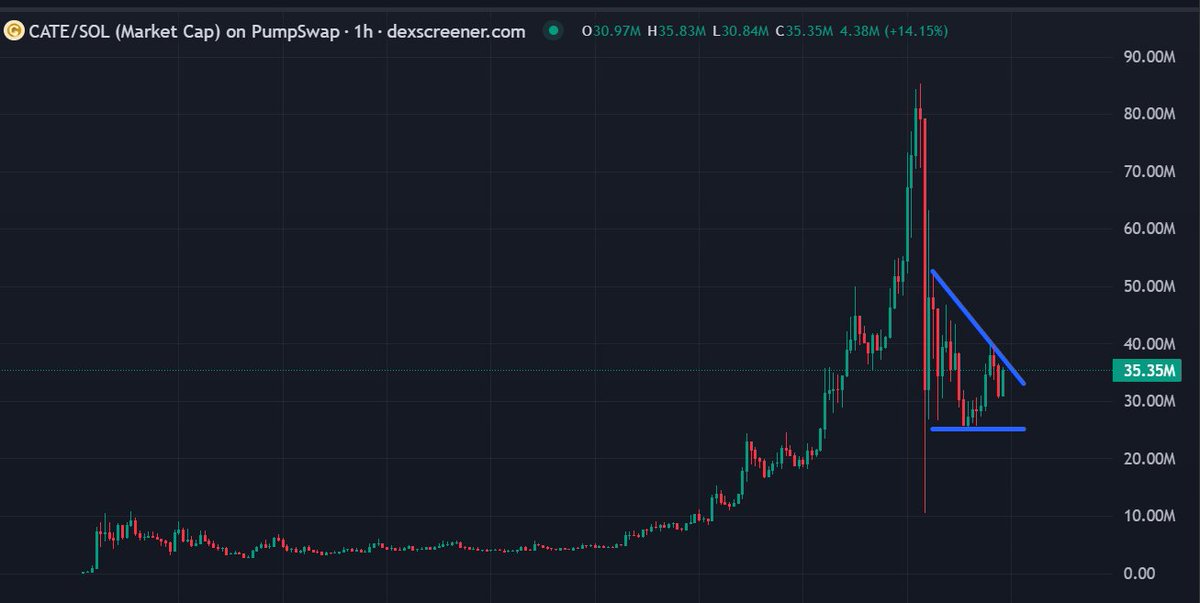 MoEthWhale's tweet photo. So we can finally say all the serial dev bundled wallets are out, including all the allocated KOL wallets.

We now have 100% of the $CATE supply in the hands of the community.

Redistribution has also strengthened the floor, with most Catecoin holders buying in at a premium market cap.

Looking at the top holders, @PoorGoat_ is now the largest doxxed holder with around 3% of the supply. He bought his position, has publicly committed not to sell early, but holds to large cap.

The @Pumpfun liquidity pool now holds just 1.49% of the supply, with redistribution essentially complete, the dev and KOL wallets gone, and most wallets above 1% belonging to doxxed holders on @fomo, ownership is now far more decentralized. Outside the top 15 holders, ownership quickly drops below 0.5% per wallet, with the majority of the 63,836 holders, including 38.4K+ holders on FOMO, being predominantly retail participants.

We now have one of the best-distributed decentralized memecoins in the space.

With $60M+ in 24H volume, a $30M+ market cap, a cult army active 24/7, Catecoin dominating X and crypto mindshare, and @PoorGoat_ committed to taking $CATE to the billions, this correction has strengthened the project rather than weakened it.

Momentum is returning, the chart is stabilizing, and this looks like a great opportunity to position for the next leg up.

The thesis remains the same, the biggest multi-billion dollar normie memecoin since dogecoin.

It's cat(e) szn. 🐈

CA: Ai66LHZG9MCzg1WKdawwqduVAXpNDUuV8M3uyq5ppump