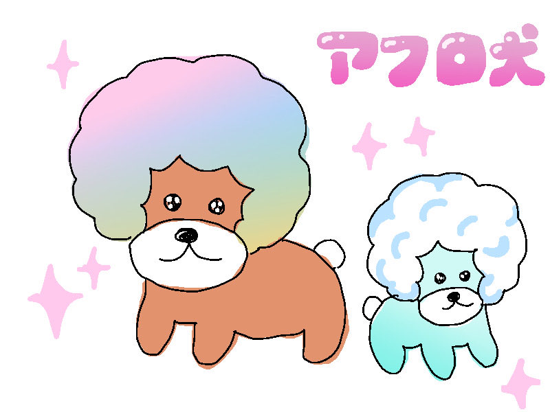 unchokosoft's tweet photo. アフロ犬好きだや https://t.co/aBQaOuOE4P