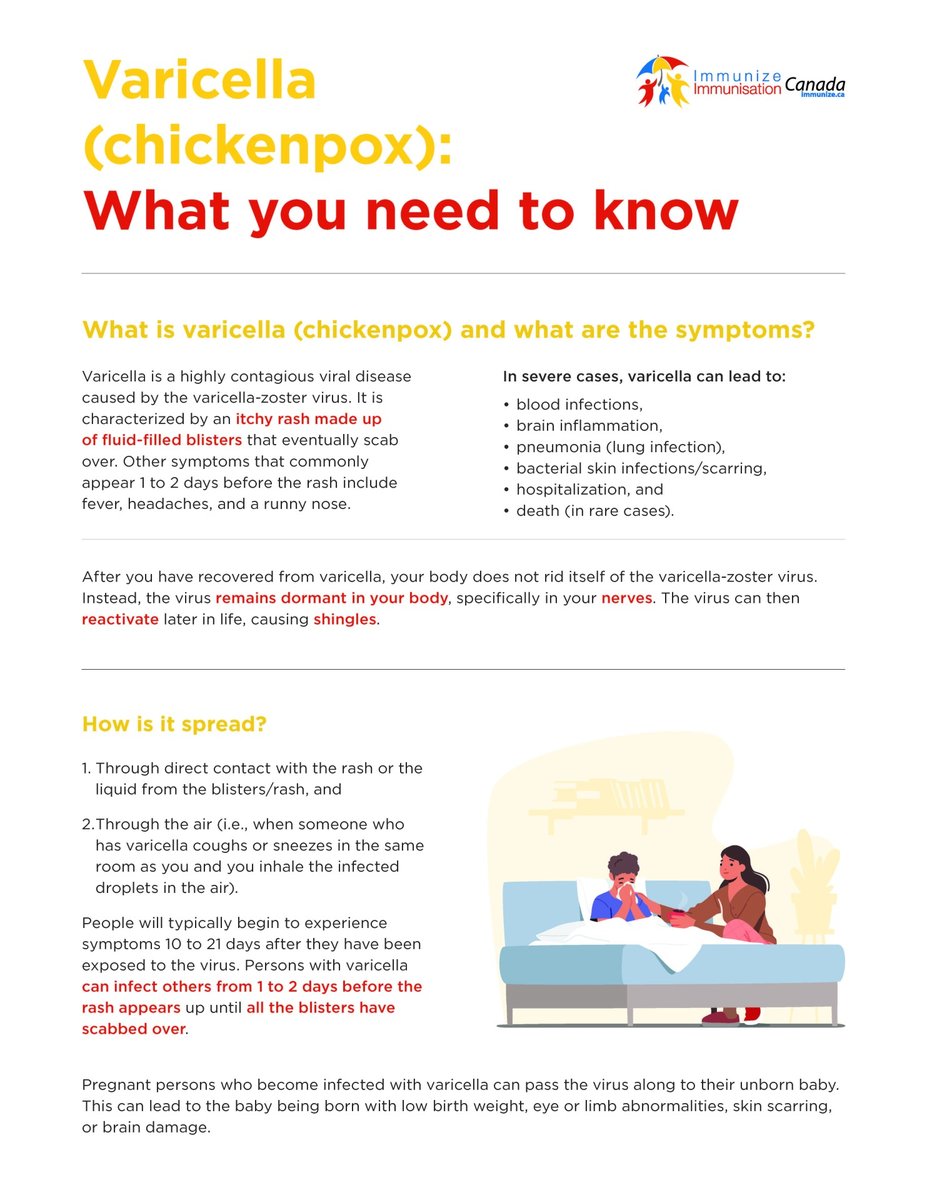 ImmunizedotCa's tweet photo. Varicella (chickenpox): What you need to know | an informative factsheet from Immunize Canada | https://t.co/CWv1smjPQR #TheTimeIsNow #varicella #chickenpox #VaccinesWork #VaccinesSaveLives #PreventionCantWait #GetImmunized #NIAM2026 https://t.co/kRwnfCFQyw