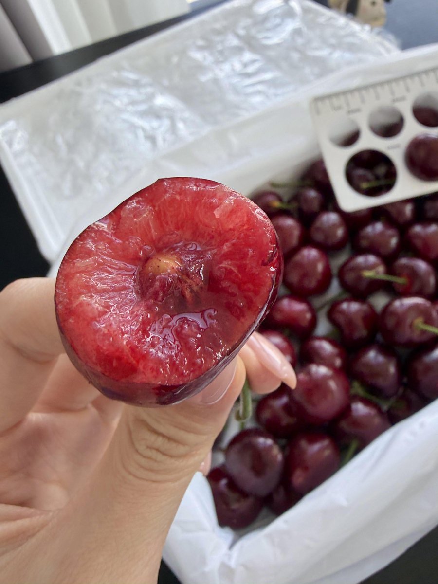PerseiVentures's tweet photo. I absolutely love it.
I picked the biggest one and I'm going to take the first bite! https://t.co/CwvpQN3cTi