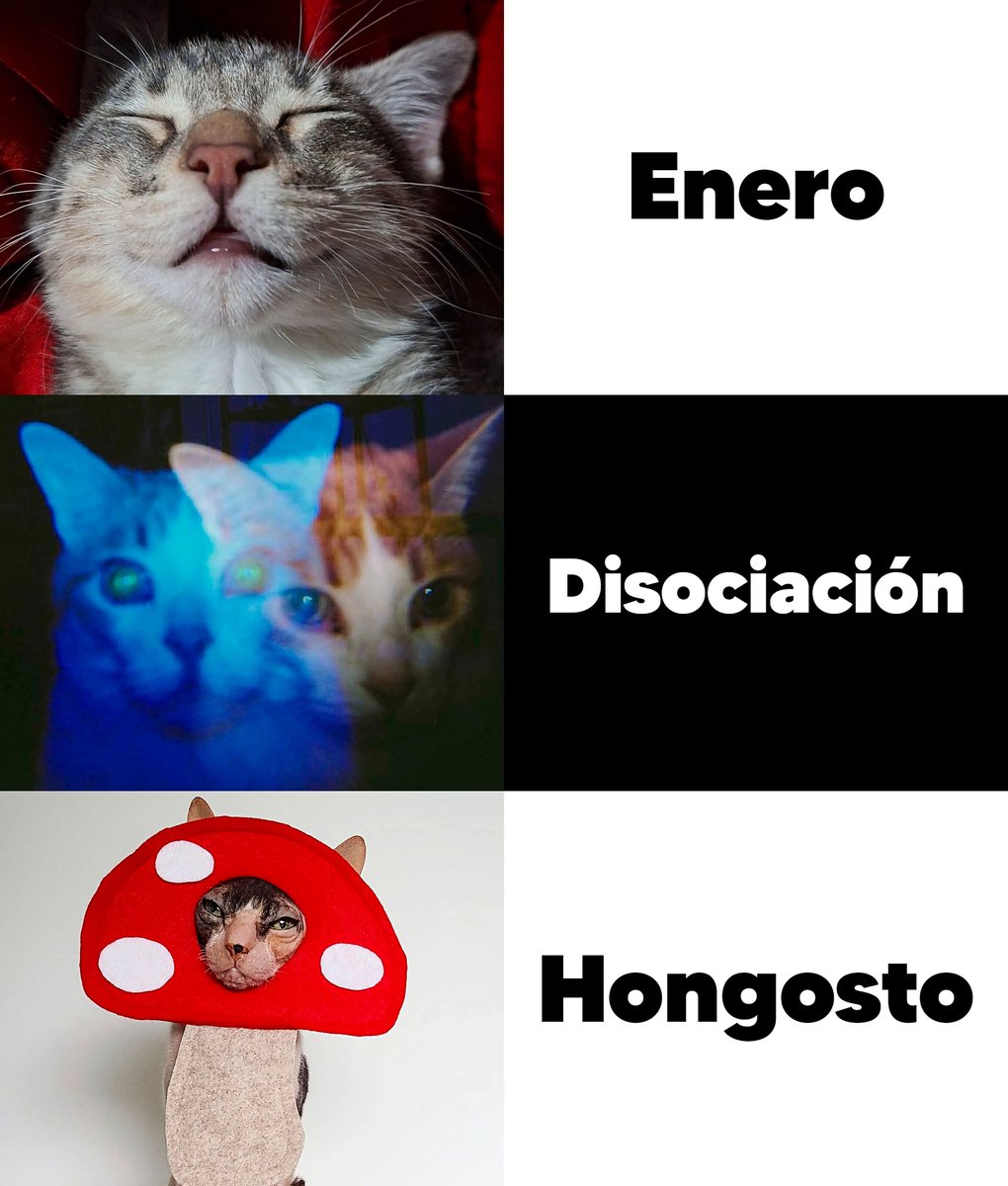 Mantequilla90's tweet photo. https://t.co/ViGhxQmIOs
