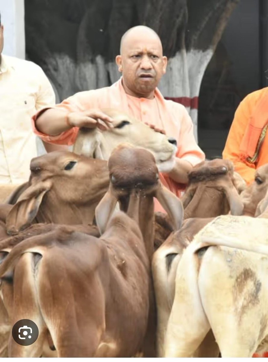 INDARSINGH115's tweet photo. माननीय @PMOIndia  

जनम जनम का नाता है
गौ हमारी माता है

गौमाता की हत्या अब सहन नहीं की जा सकती.. गौ हत्या अविलंब बंद होनी चाहिए
#गौ_सम्मान_आह्वान 
#GauSamman #GauMata https://t.co/jjjIAMmXVN