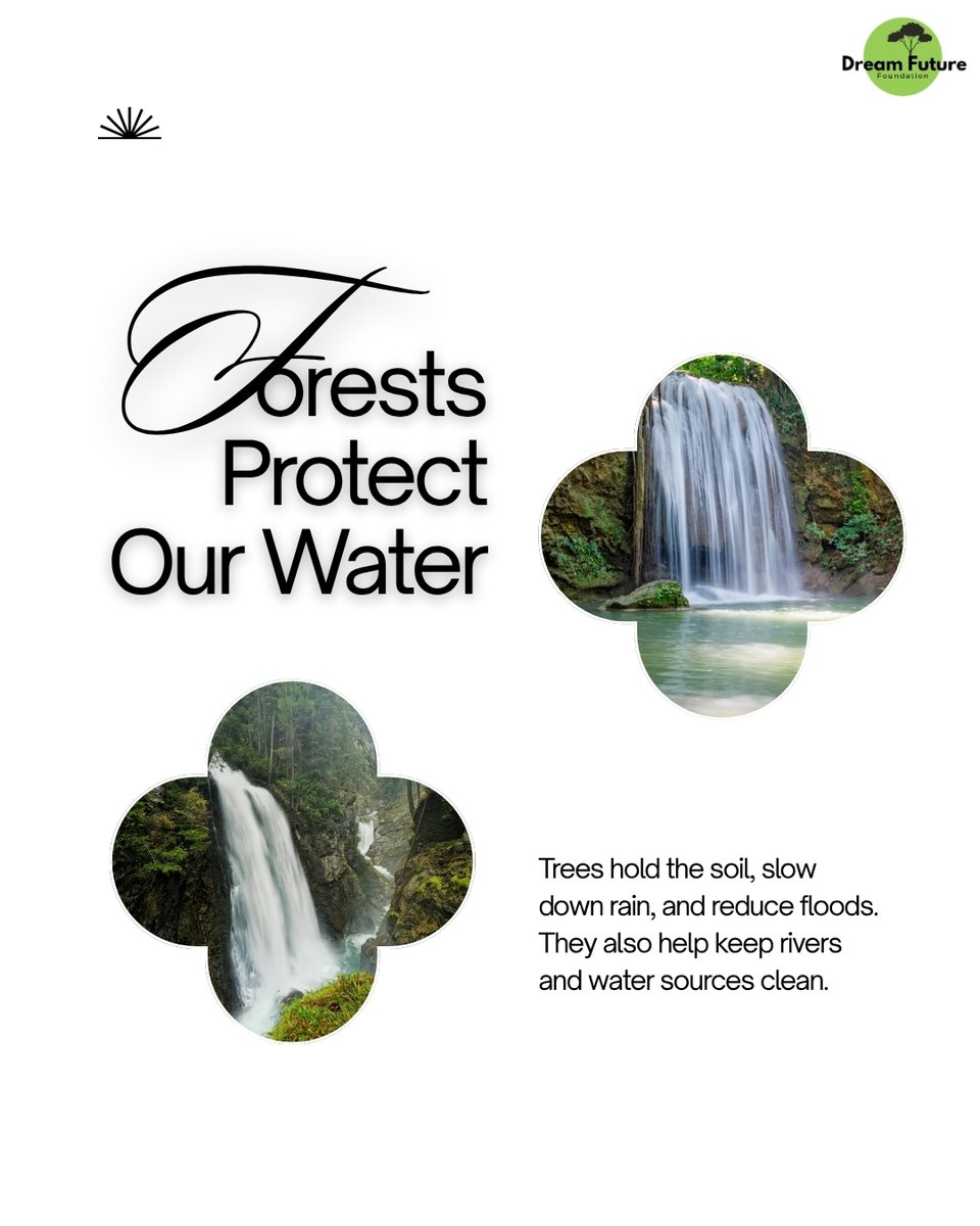 DreamFuture24's tweet photo. Forests clean our air.
Protect our water.
Support wildlife.
Fight climate change.
Protecting forests means protecting our future. 🌿💚
#DreamFutureNGO #SaveForests #ClimateAction #NatureConservation https://t.co/fW3Eaj3mgz