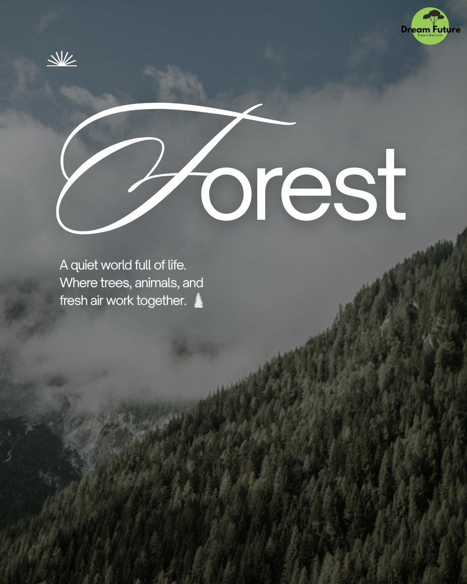 DreamFuture24's tweet photo. Forests clean our air.
Protect our water.
Support wildlife.
Fight climate change.
Protecting forests means protecting our future. 🌿💚
#DreamFutureNGO #SaveForests #ClimateAction #NatureConservation https://t.co/fW3Eaj3mgz