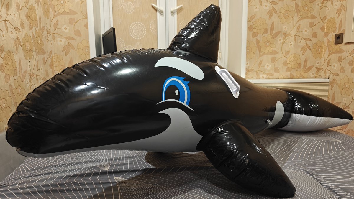 PhobosTheDragon's tweet photo. Here is inflatable Bestway 2010 orca. I was surprised when I saw the text only on the back of the tail. I really liked this text location solution👍 https://t.co/SFRVRnFd73