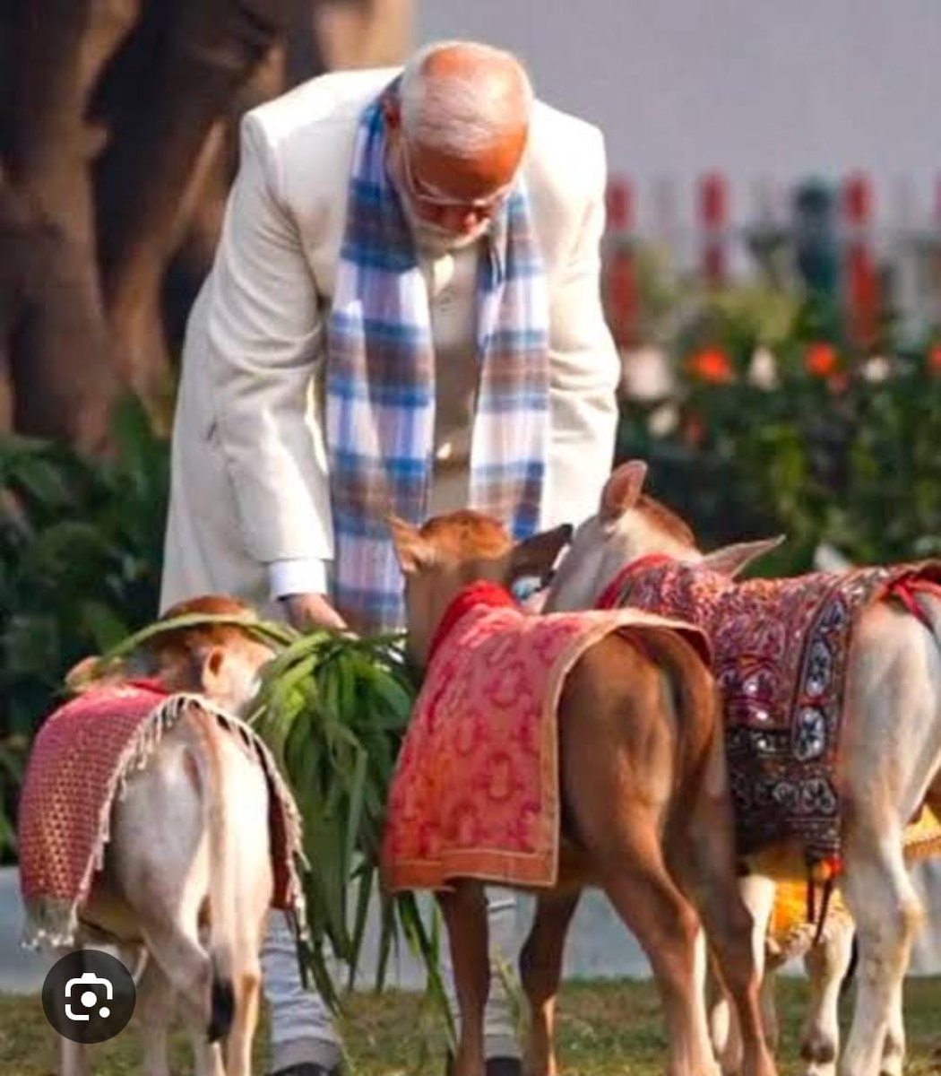 INDARSINGH115's tweet photo. माननीय @PMOIndia  

भारतीय कृषि, धर्म, आध्यात्म, अर्थव्यवस्था और हिंदू जीवन का आधार गौ माता है
गौ माता को राष्ट्र माता घोषित किया जाना चाहिए।

#गौ_सम्मान_आह्वान 
#GauSamman #GauMata https://t.co/3QrMEtS6Rt