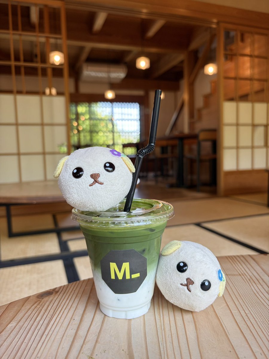 mainichimame's tweet photo. wabisabi
#まいにち豆しば
#豆しば https://t.co/t9oeajTpwI