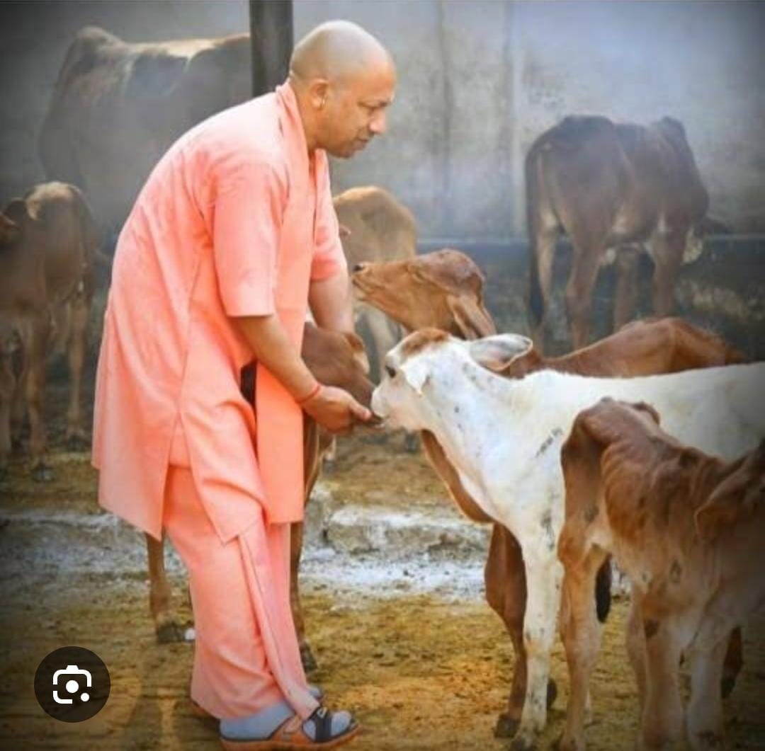 INDARSINGH115's tweet photo. माननीय @PMOIndia  

जिस में सभी देवी देवता करते हैं वास 
एक आँख में सूर्य, दूसरी में चंद्र देव विराजे साक्षात जिनके पैरों में है चार धाम, धरती पर गाय है देव समान
गौ माता को राष्ट्र माता घोषित किया जाना चाहिए।

#गौ_सम्मान_आह्वान 
#GauSamman #GauMata https://t.co/3y60Zyv3a4