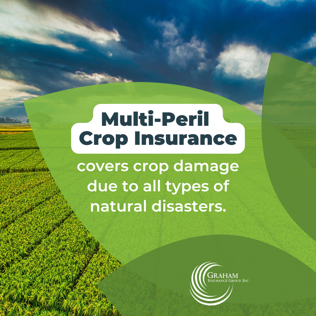 4insurance's tweet photo. Make sure your crops are protected with the right coverage. 

#farm #tiptuesday

Contact us at 817-293-0388 or agency@graham-insurance.com

Visit our website at https://t.co/sTWDAEOGJy https://t.co/s3ZRYF6cJQ