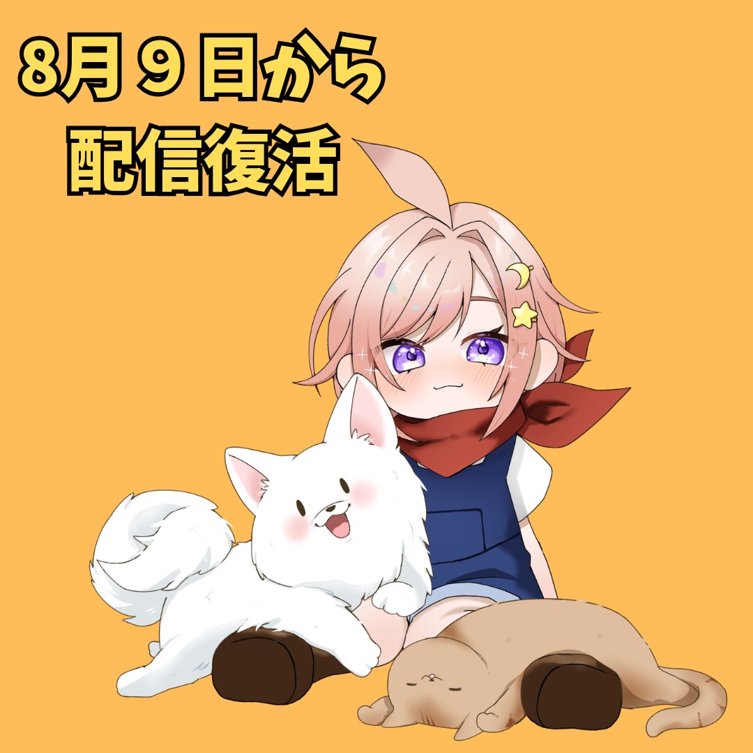 com36114706's tweet photo. 今週末まで色々重なり過ぎて余裕なさ過ぎｗ
来週から配信復活します https://t.co/tVDprBlOvU