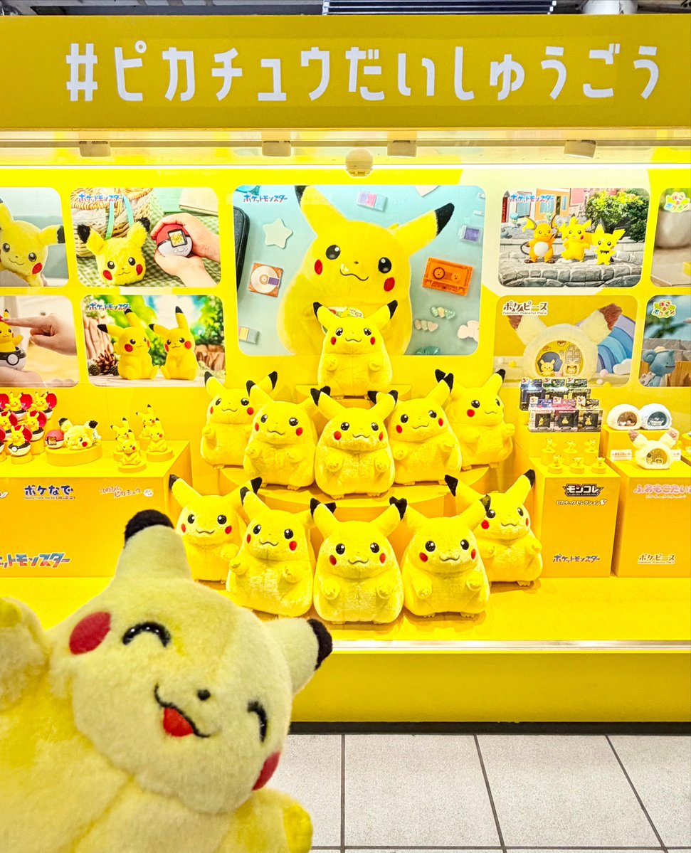 hinopika's tweet photo. ピカチュウ、ピカチュウだよ⚡️⚡️⚡️⚡️⚡️
#ピカチュウだいしゅうごう https://t.co/jDTEm9GHe3