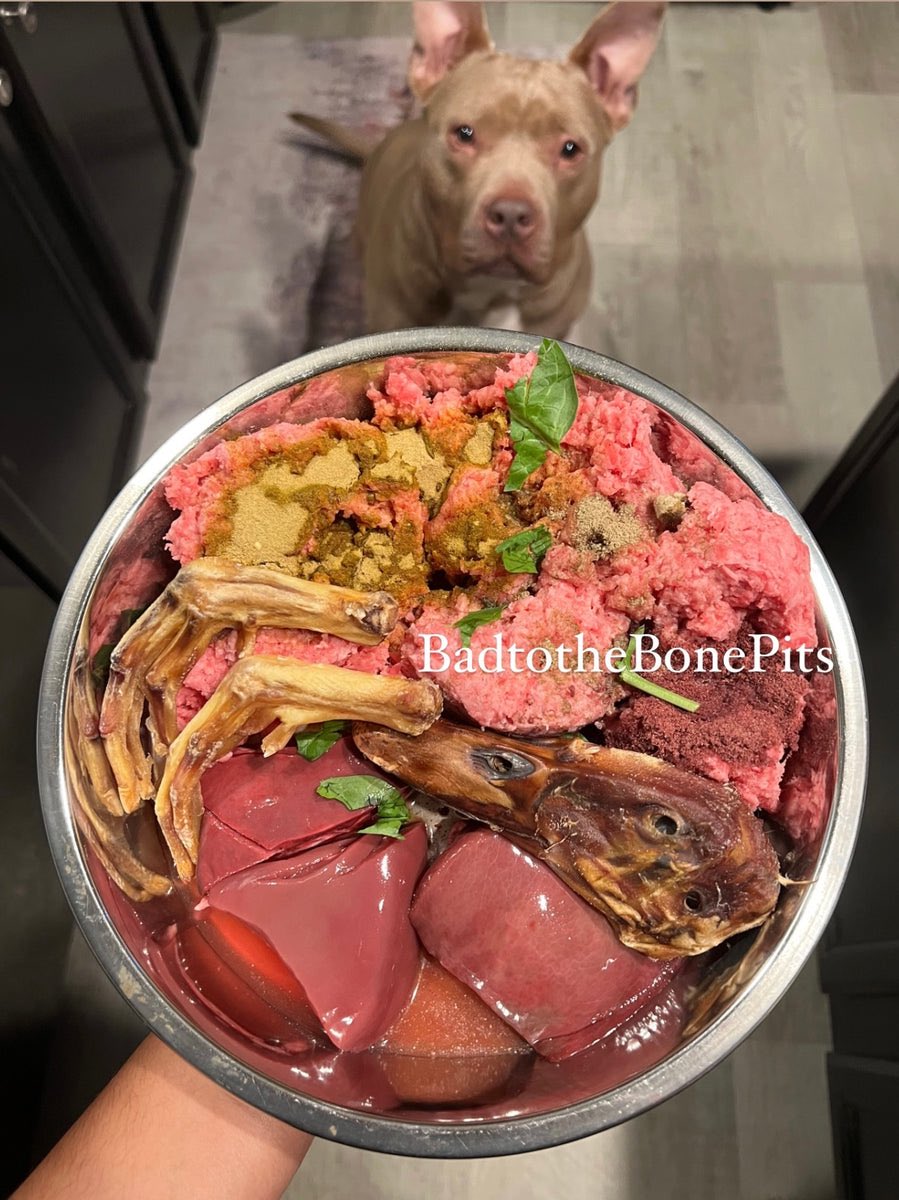Gokus_pubes's tweet photo. @yoxics She feeding him like an exotic pitbull https://t.co/nwuFhw1p7t