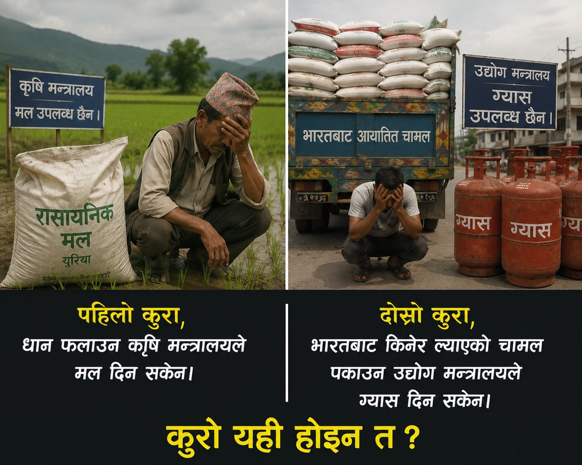 Bibek_Aadi's tweet photo. #पहिलो_कुरा 👉️धान फलाउन कृषि मन्त्रालयले मल दिन सकेन।
#दोस्रो_कुरा 👉️ भारतबाट किनेर ल्याएको चामल पकाउन उद्योग मन्त्रालयले ग्यास दिन सकेन।

कुरो यही होइन त ? @ShahBalen https://t.co/Hzs8UobNwL