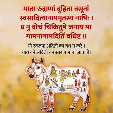 Veerubharatiya's tweet photo. माननीय @PMOIndia  

कटती गौमाता करे पुकार, 
बंद करो ये अत्याचार

#गौमाता_राष्ट्रमाता
#vh
#गौ_सम्मान_आह्वान 
#GauSamman #GauMata https://t.co/Vo433Fttic