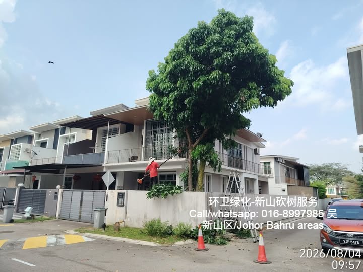 NGYANG4's tweet photo. 新山砍树服务 016-8997985 (新山区) Tree cutting services Johor Bahru 016-8997985 (Johor Bahru areas) https://t.co/LyHudTKoVc