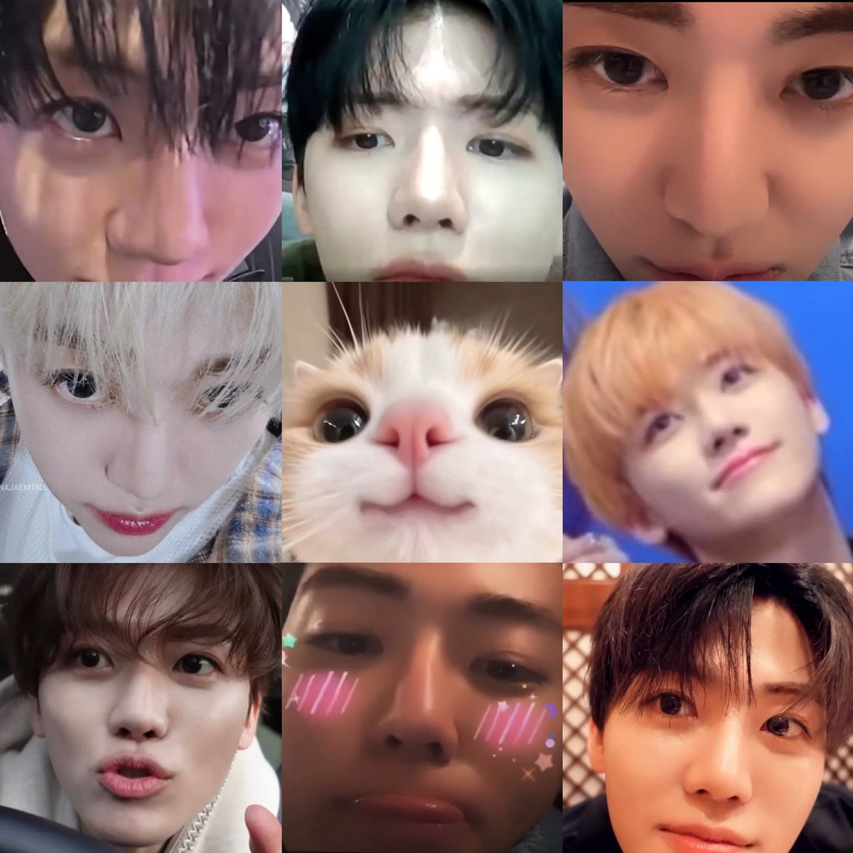 augustjaemie's tweet photo. jaemin is literally a cat in human form https://t.co/HLGf4bwStG