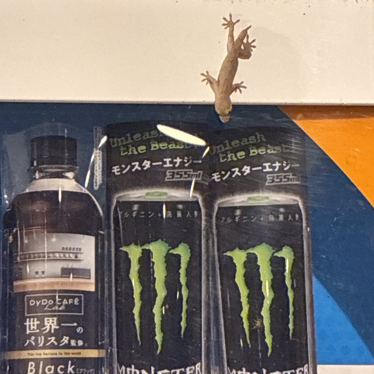 miumari0107's tweet photo. 昔の友達が近所まで来てくれました🦎
#ヤモリ
#かべちょろ
#モンエナ欲しいんかな https://t.co/2TVuiEjC5l
